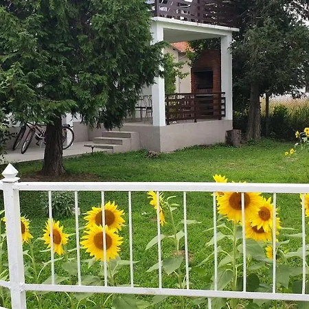 Apartment Ricci R 1 Veliko Gradište