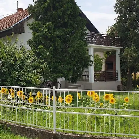 Ricci R 1 Veliko Gradište