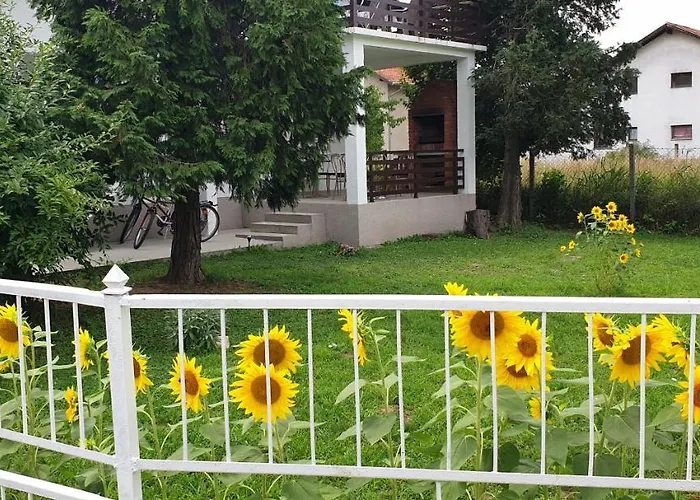 Apartment Ricci R 1 Veliko Gradište