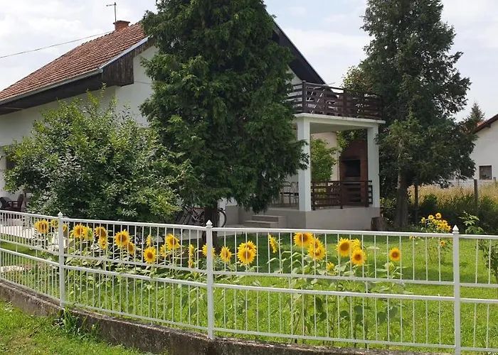 Ricci R 1 Veliko Gradište